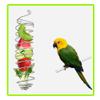 GYWHOOFT 2-Pack Stainless Steel Bird Feeders view 4