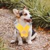 Adjustable Dog Harness view 2