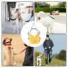 Adjustable Anti-Choke Dog Harness view 4