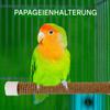 Hemousy Suction Cup Bird Perch view 2