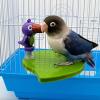 Hozaenwa Parakeet Toy Stand view 3