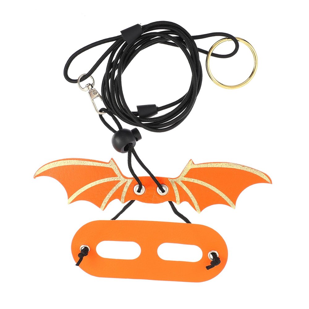 Gatuida Adjustable Reptile Harness and Leash Set