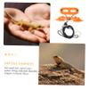 Gatuida Adjustable Reptile Harness and Leash Set view 2