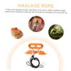 Gatuida Adjustable Reptile Harness and Leash Set view 4