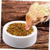 BCOATH Ceramic Reptile Feeding Bowls, White, Smooth, Easy to Clean view 3