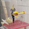Bird Perch, Parrot Toy and Feeding Station view 2