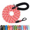 Dog Leash, 1.2m to 30m, Padded and Durable view 1