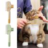 2 Pack Self-Cleaning Pet Brush for Cats view 2