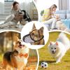 Breathable Adjustable Dog Muzzle for Puppies view 4