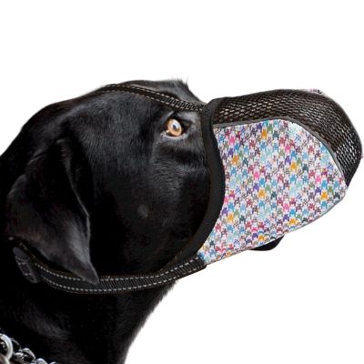 Dog Muzzle | Breathable Adjustable Mesh Muzzle