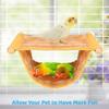 Cozy Bird Nest House view 2