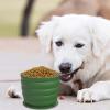 Chew-Resistant Silicone Slow Feeder Bowl with Suction Cups, Green, 12 x 12 x 9 cm view 2