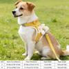 Cat Harness and Leash, Escape-Proof, Adjustable, Vest Style with Tag, Cat Walking Harness (Blue, S) view 4