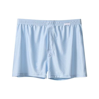 Men's Triangle Briefs, Transparent Ice Silk, Open Front and Back, Crotchless Thong, Blue, XXXL