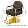 Height-Adjustable Barber Chair, 90–135° Reclining, Padded Backrest, Hydraulic Pump, 200 kg Capacity view 4