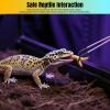 Generic Reptile Feeding Tongs - Terrarium Accessory view 3