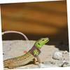 BAZEITFLOW Adjustable Lizard Harness (2 Pack) view 4