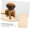 VICASKY 6-Piece Washable Dog Training Pad, Waterproof Absorbent Pet Pee Pad for Home, Travel, Car and Crate view 2