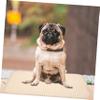 VICASKY 6-Piece Washable Dog Training Pad, Waterproof Absorbent Pet Pee Pad for Home, Travel, Car and Crate view 4