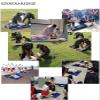 ELZEM Adult First Aid Training Manikin for CPR view 3