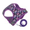 VANZACK Adjustable Dog Harness with Leash, Breathable Polyester, Comfortable Fit for Cats and Puppies view 1