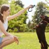 Dog Training Clicker with Silent Whistle, Lightweight Obedience Tool with Strap view 2