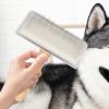 Dog Undercoat Brush and Deshedding Comb for Loose Undercoat view 2