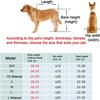 Pet Wheelchair for Disabled Hind Legs, Easy Assembly, Lightweight Mobility Aid for Dogs view 2