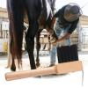 Hoof Pick and Cleaner, 2-Piece Set view 2