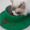 Tip-Resistant Silicone & Stainless Steel Pet Bowl, Leakproof view 2