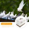 Eoixuqba Bird Cage, Double Lock, Foldable Cage view 3