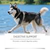 Liver Supplement for Dogs view 4