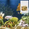 30-Piece Natural Quinoa Aquarium Leaves Set view 2