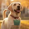 Generico Dog Treat Bag with Two Magnetic Closures view 3