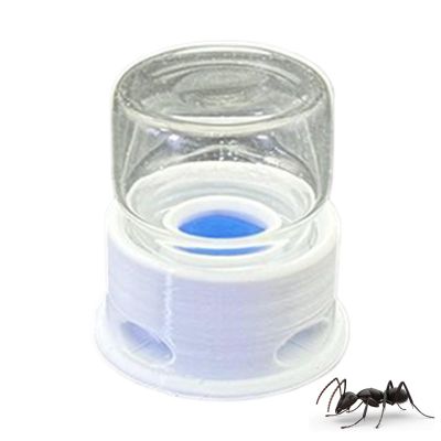 Dopsyesn Transparent Ant Feeder & Water Station