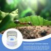 Dopsyesn Transparent Ant Feeder & Water Station view 2