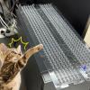 Weather-Resistant Cat Deterrent and Scratch-Protection Mat view 2
