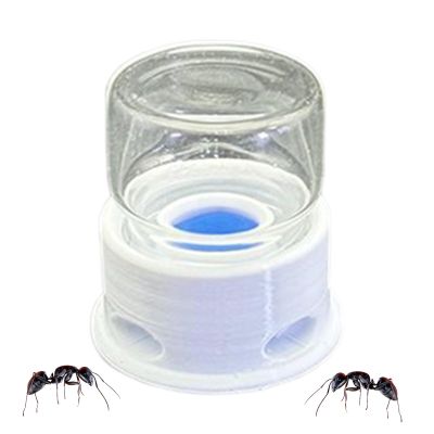 Ant Liquid Feeder | Bee Liquid Station - Leak-Proof Transparent Feeding Station for Insects