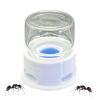 Ant Liquid Feeder | Bee Liquid Station - Leak-Proof Transparent Feeding Station for Insects view 1