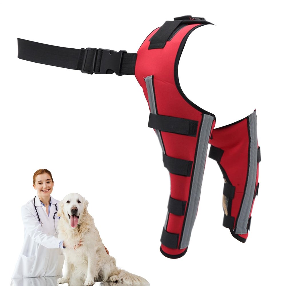 Jingmiger Dog Knee Brace for Injury Protection