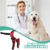 Jingmiger Dog Knee Brace for Injury Protection view 2