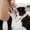 YNPQTDS Pooper Scooper for Dogs with Bag Dispenser, 6-Claw Touch-Free Dog Poop Grabber for Small, Medium, and Large Breeds view 3