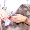 Pet Nail Clipper with LED Light view 2