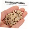 Gatuida Decorative Rocks, 50 g, for Aquariums and Gardens view 2