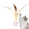 Interactive Cat Ball Toy view 1