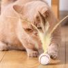 Interactive Cat Ball Toy view 2