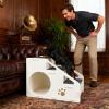 4-Step Anti-Slip Dog Stairs for Indoor Use view 2