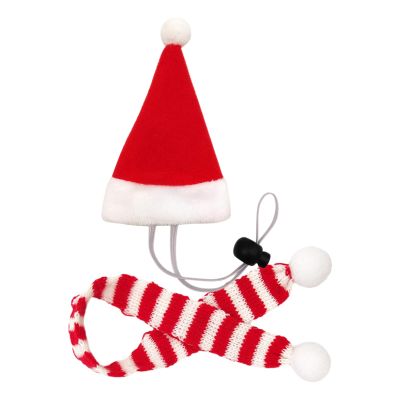 Pet Santa Costume - Santa Hat for Small Animals