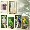 Bird Waterer, Automatic Drinking Dispenser for Parrots view 4