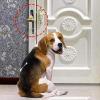 Generic Dog Bell - Brass Bell for Walks view 2